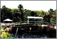 Plonsen - nr. 0061